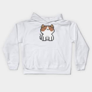 Pixel Quiet White Brown Eyes Cat 49 Kids Hoodie